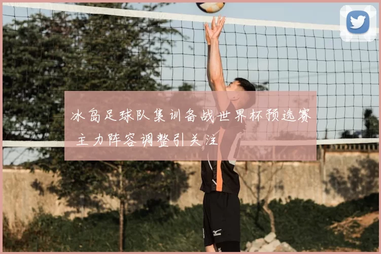 冰岛足球队集训备战世界杯预选赛 主力阵容调整引关注