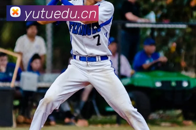 NG体育 - 创意平台,注册畅享文化之梦!发展历程